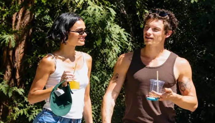 Shawn Mendes est il en couple